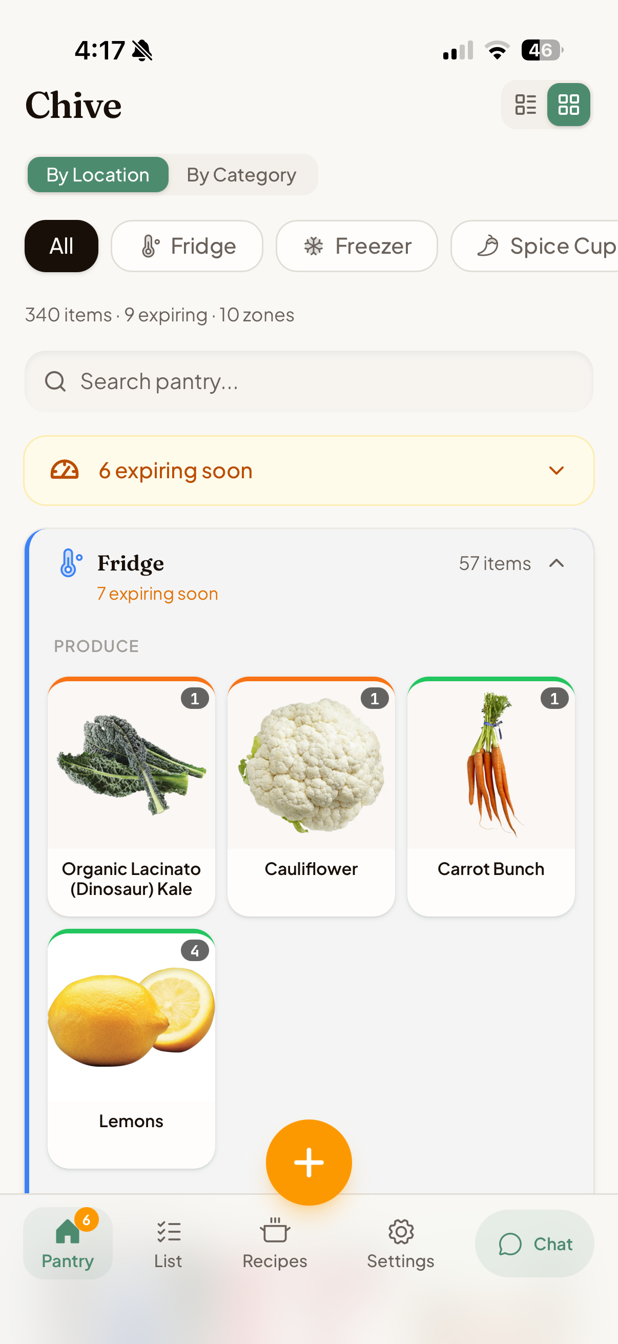 Chive pantry view showing organized kitchen inventory